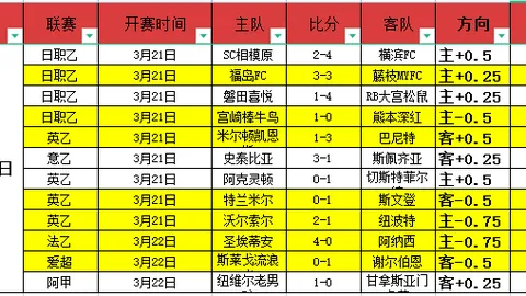 “土耳其名帅蒙特拉力荐居莱尔加盟意甲，国米跟队记者透露内幕”